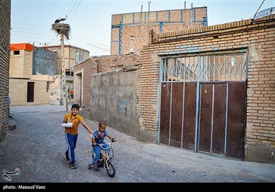 میزبانی روستای مایان سفلی از لک‌لک‌های مهاجر