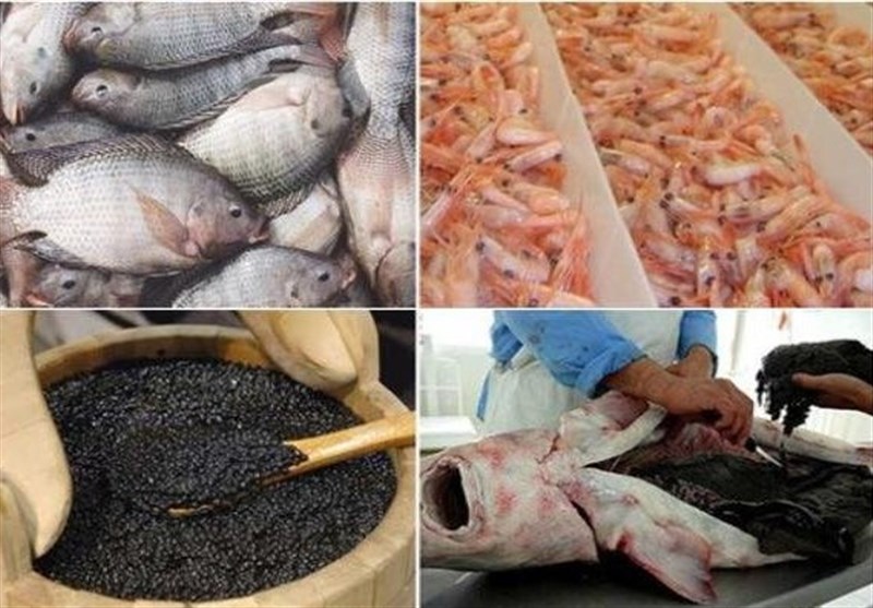 Iran’s Export of Fishery Products Hits $187 Million in 5-Month Period