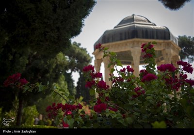 گلباران آرامگاه حافظ شیرازی به مناسبت سالروز بزرگداشت این شاعر