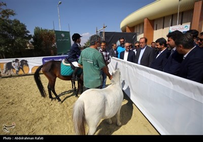 بازدید استاندار همدان از نمایشگاه و جشنواره بزرگ ورزشی عزت و پیشرفت