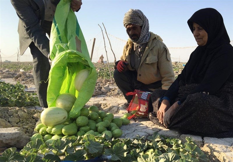 استان سیستان و بلوچستان , 