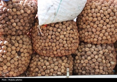 جشنواره گردوی سهرورد خدابنده