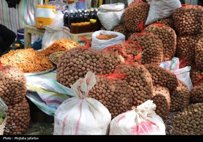 جشنواره گردوی سهرورد خدابنده