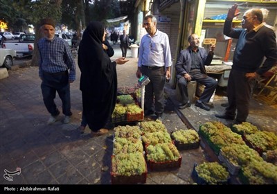 بازار فروش انگور در همدان