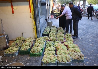 بازار فروش انگور در همدان