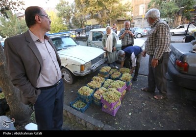 بازار فروش انگور در همدان