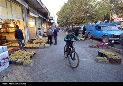 بازار فروش انگور در همدان