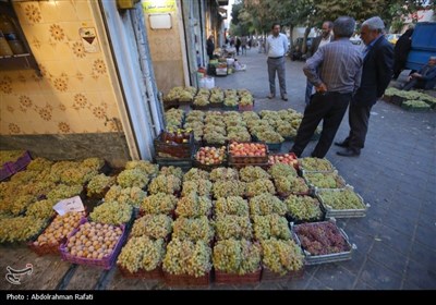 بازار فروش انگور در همدان