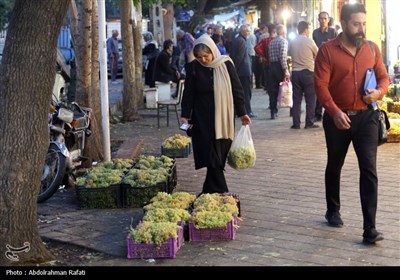 بازار فروش انگور در همدان