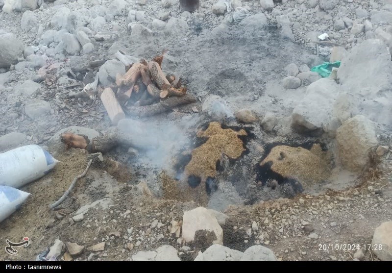 شناسایی 2 باند قاچاق زغال غیرمجاز بلوط در شهرستان دنا