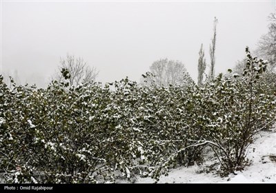 بارش برف پاییزی در اشکورات گیلان