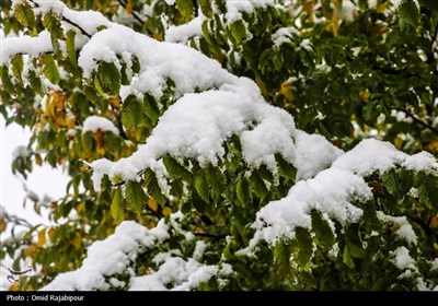 بارش برف پاییزی در اشکورات گیلان