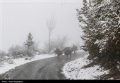 بارش برف در ارتفاعات و مناطق کوهستانی لرستان