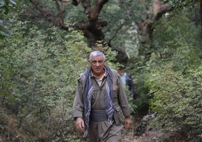 اردوغان،سلاح،حزب،تركيه،دولت،خلع،عدالت،قانون،توسعه،درصد،اعلام ...