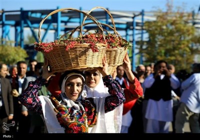 جشنواره زعفران و زرشک قاینات در قاب تصویر