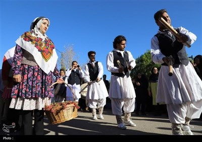 جشنواره زعفران و زرشک قاینات در قاب تصویر