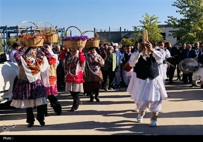 جشنواره زعفران و زرشک قاینات در قاب تصویر