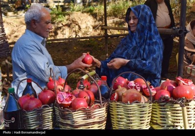 پنجمین جشنواره انار خداآفرین