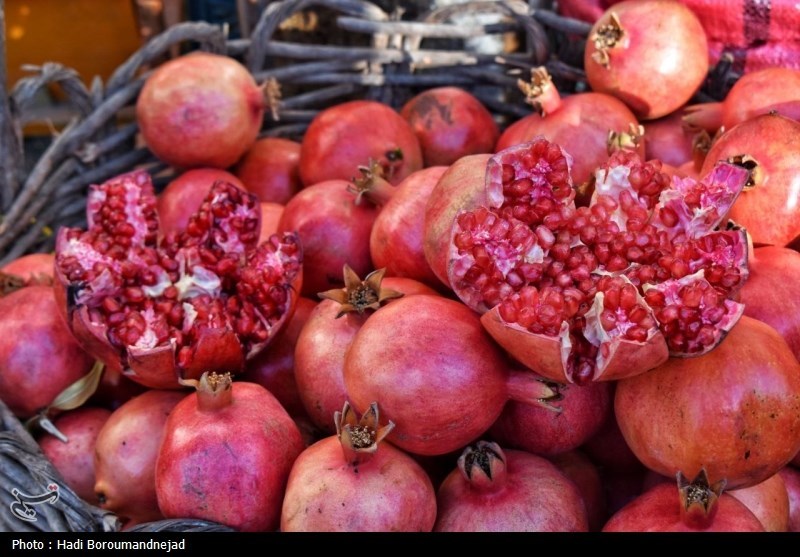 برگزاری دومین جشنواره ملی انار ایج و رودبال در اول آذرماه