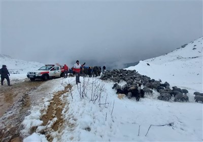 امدادرسانی هلال‌احمر به عشایر گیلانی در برف