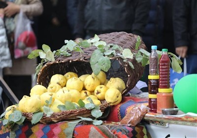 اردبیل| جشنواره هیوا (بِه) در باغ شهر ایران برگزار شد