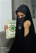 پویش سنوار