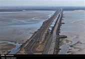 بازدید مدیرعامل سازمان بنادر و دریانوردی از بندر بوشهر