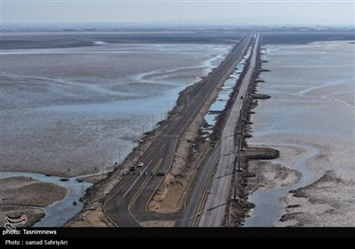 بازدید مدیرعامل سازمان بنادر و دریانوردی از بندر بوشهر
