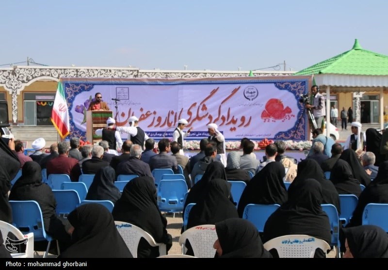 چهارمین همایش ملی خانه های بوم گردی ایران در فردوس- عکس صفحه ...