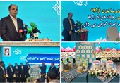 ایران موفق به تولید 7رقم بذر کاهوی تولید با فناوری هیبرید شد