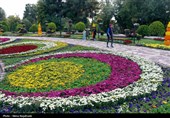 جشنواره طعم و رنگ پاییز- مشهد