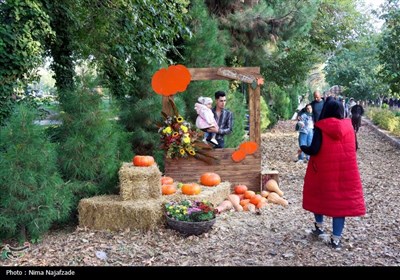 جشنواره طعم و رنگ پاییز- مشهد