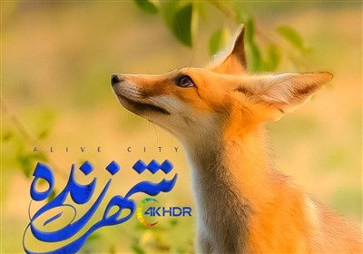 مستند،شهر،تهران،تنوع،زيستي،زنده،توليد،موضوع،فيلم،وحش،نظري،شه ...