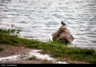 بارش باران پاییزی - کرمانشاه