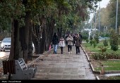 وزش باد شدید و رگبار باران/روز طبیعت همدان بارانی است