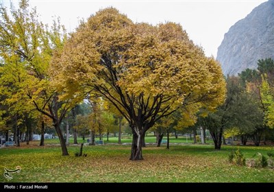 بارش باران پاییزی - کرمانشاه