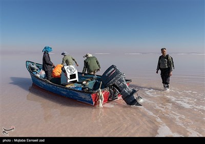 سرشماری پستانداران در جزایر پارک ملی دریاچه ارومیه