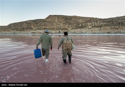 سرشماری پستانداران در جزایر پارک ملی دریاچه ارومیه