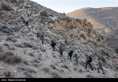 سرشماری پستانداران در جزایر پارک ملی دریاچه ارومیه