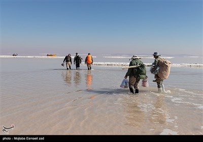 سرشماری پستانداران در جزایر پارک ملی دریاچه ارومیه