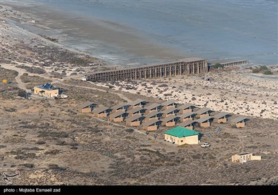 سرشماری پستانداران در جزایر پارک ملی دریاچه ارومیه