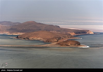 سرشماری پستانداران در جزایر پارک ملی دریاچه ارومیه