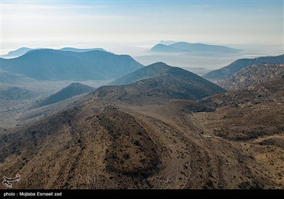 سرشماری پستانداران در جزایر پارک ملی دریاچه ارومیه