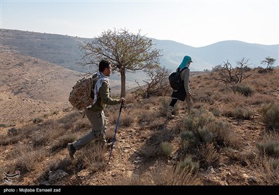 سرشماری پستانداران در جزایر پارک ملی دریاچه ارومیه