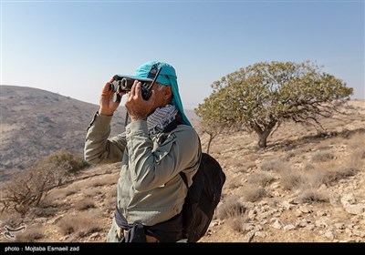 سرشماری پستانداران در جزایر پارک ملی دریاچه ارومیه