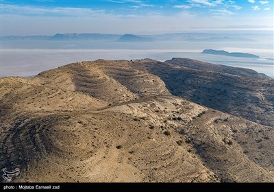 سرشماری پستانداران در جزایر پارک ملی دریاچه ارومیه