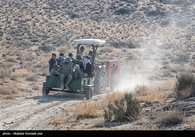 سرشماری پستانداران در جزایر پارک ملی دریاچه ارومیه