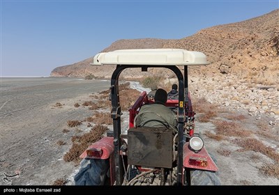 سرشماری پستانداران در جزایر پارک ملی دریاچه ارومیه