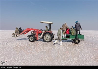 سرشماری پستانداران در جزایر پارک ملی دریاچه ارومیه