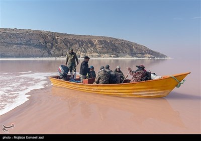 سرشماری پستانداران در جزایر پارک ملی دریاچه ارومیه